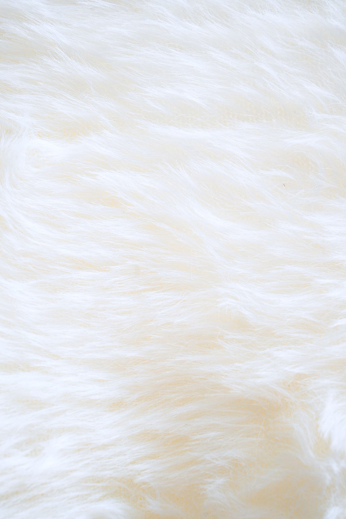 Petal Knit Cardigan with Petal Strand Cardigan (Cream)